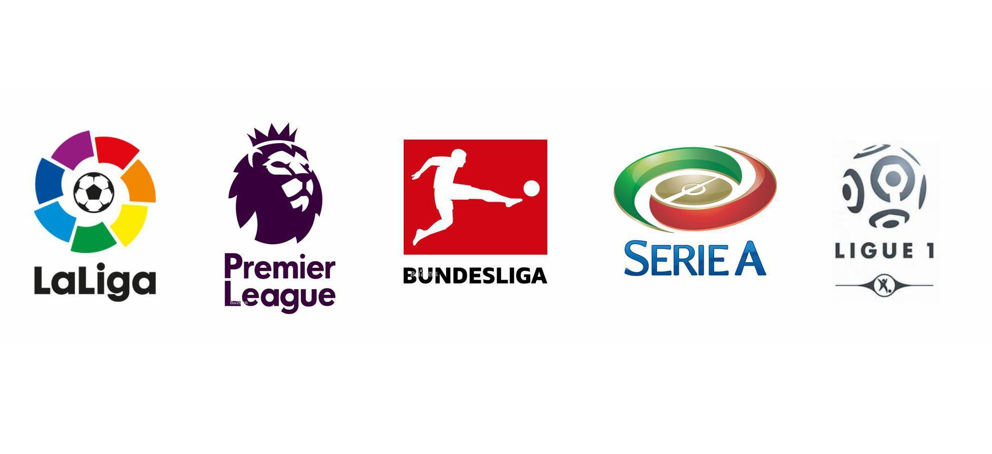 力的运动中 力的运动中