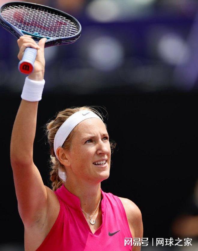 定性驯服为 定性驯服为